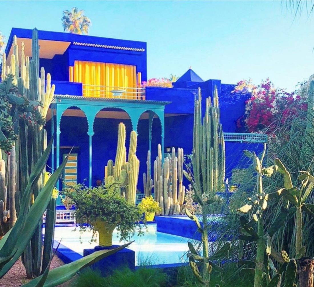A visit to the Marjorelle Gardens is an absolute 'must for all visitors to Marrakech. 